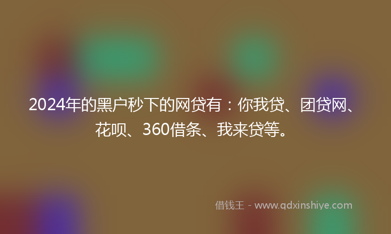 2024年的黑户秒下的网贷有：你我贷、团贷网、花呗、360借条、我来贷等。