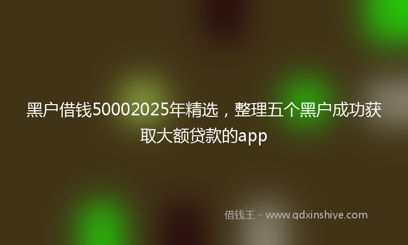 黑户借钱50002025年精选，整理五个黑户成功获取大额贷款的app