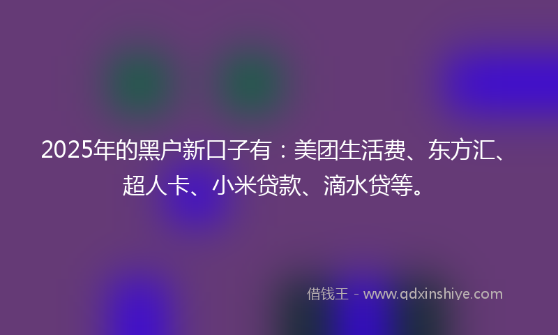 2025年的黑户新口子有：美团生活费、东方汇、超人卡、小米贷款、滴水贷等。