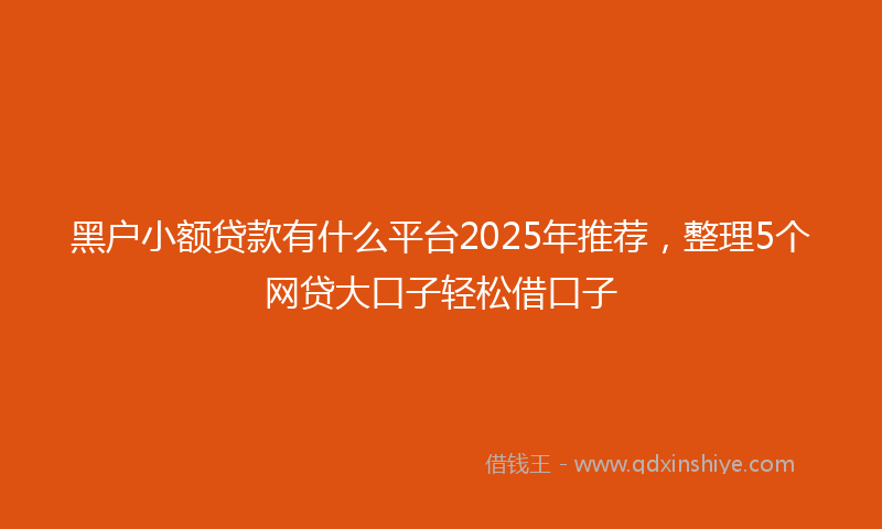黑户小额贷款有什么平台2025年推荐，整理5个网贷大口子轻松借口子