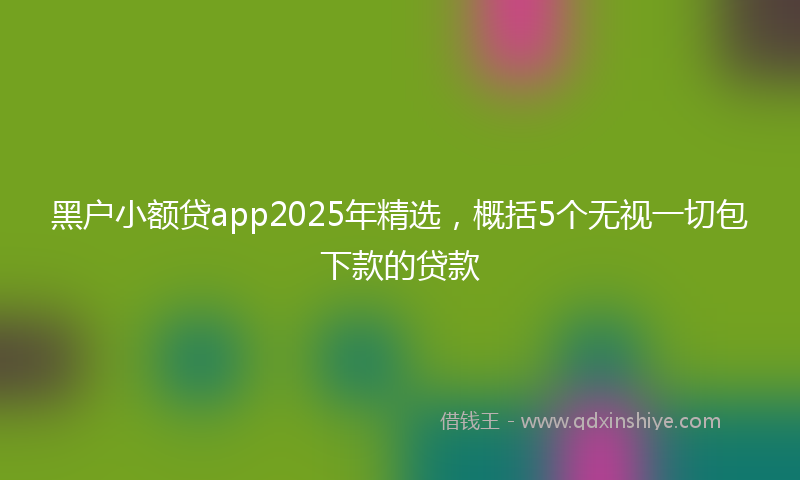 黑户小额贷app2025年精选，概括5个无视一切包下款的贷款