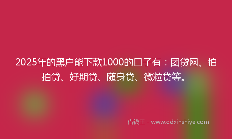 2025年的黑户能下款1000的口子有：团贷网、拍拍贷、好期贷、随身贷、微粒贷等。