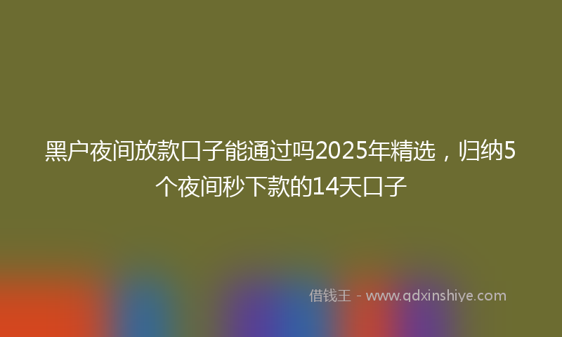 黑户夜间放款口子能通过吗2025年精选，归纳5个夜间秒下款的14天口子