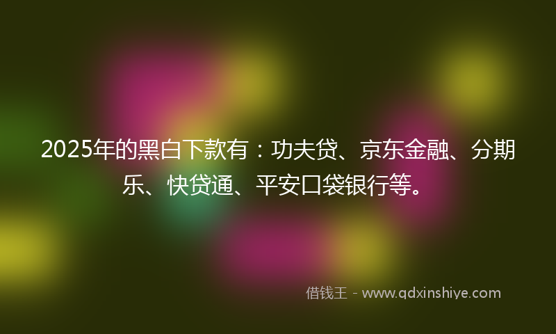 2025年的黑白下款有：功夫贷、京东金融、分期乐、快贷通、平安口袋银行等。