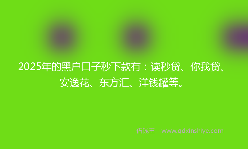 2025年的黑户口子秒下款有：读秒贷、你我贷、安逸花、东方汇、洋钱罐等。