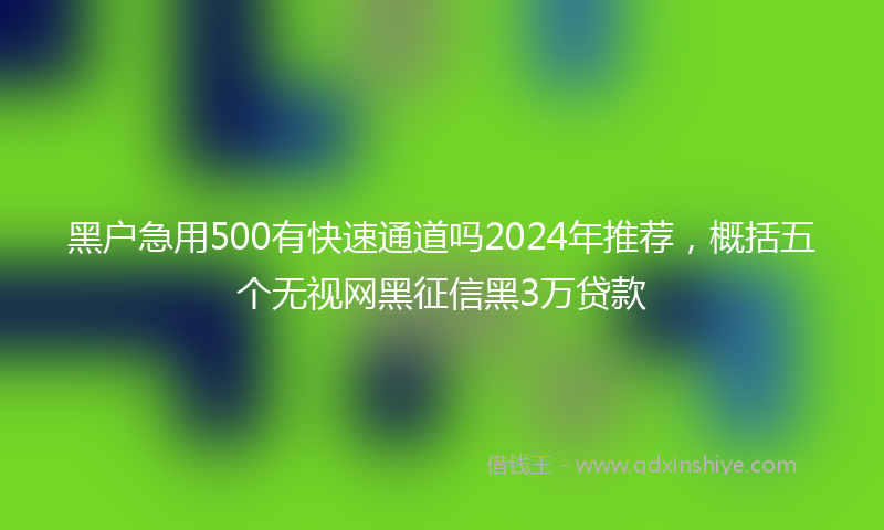 黑户急用500有快速通道吗2024年推荐，概括五个无视网黑征信黑3万贷款