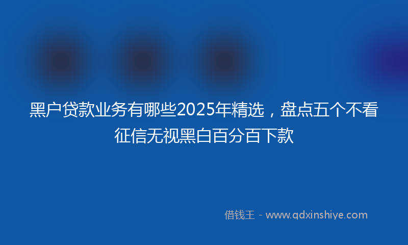 黑户贷款业务有哪些2025年精选，盘点五个不看征信无视黑白百分百下款