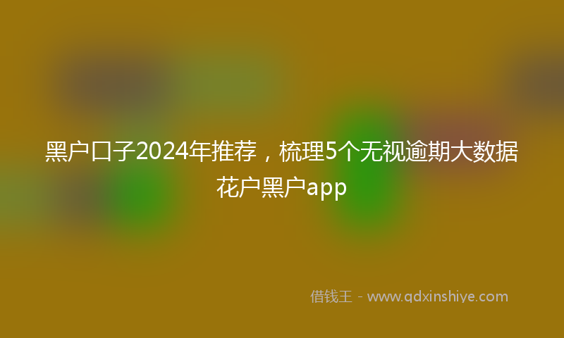 黑户口子2024年推荐，梳理5个无视逾期大数据花户黑户app