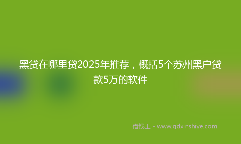黑贷在哪里贷2025年推荐，概括5个苏州黑户贷款5万的软件