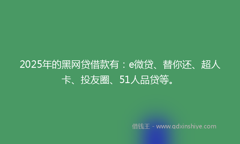 2025年的黑网贷借款有：e微贷、替你还、超人卡、投友圈、51人品贷等。