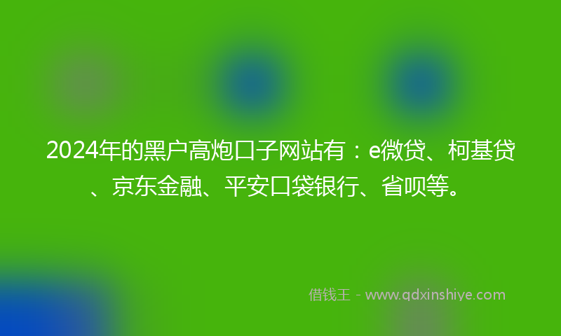 2024年的黑户高炮口子网站有：e微贷、柯基贷、京东金融、平安口袋银行、省呗等。