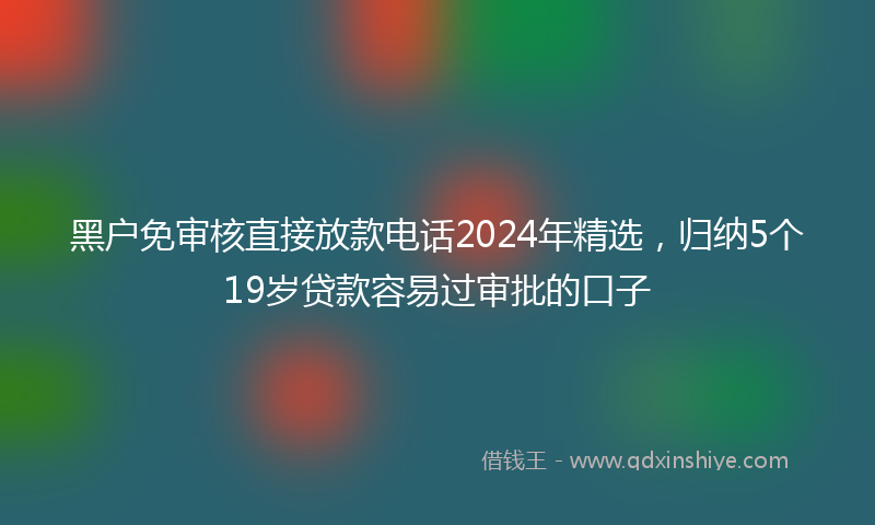 黑户免审核直接放款电话2024年精选，归纳5个19岁贷款容易过审批的口子