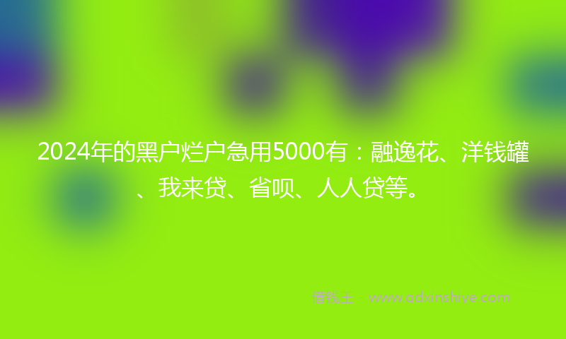 2024年的黑户烂户急用5000有：融逸花、洋钱罐、我来贷、省呗、人人贷等。