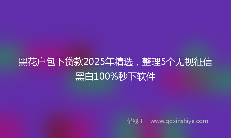 黑花户包下贷款2025年精选，整理5个无视征信黑白100%秒下软件