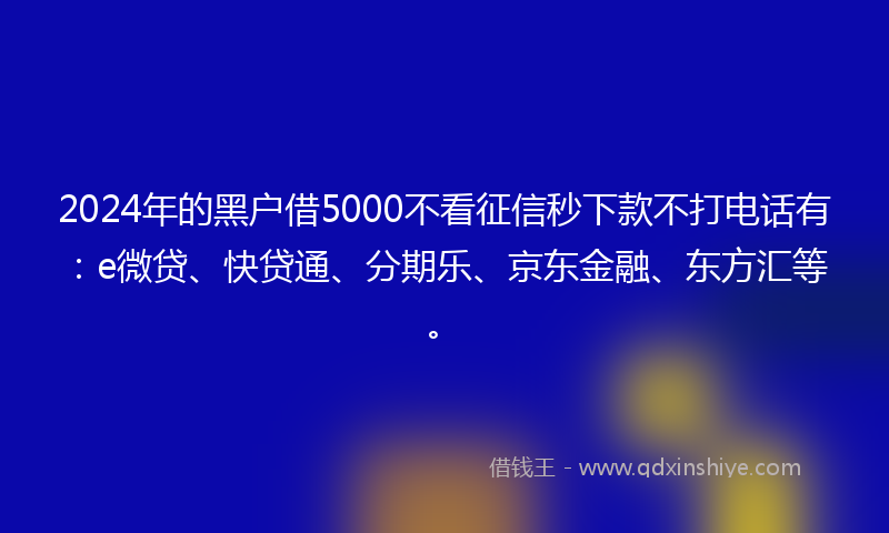 2024年的黑户借5000不看征信秒下款不打电话有：e微贷、快贷通、分期乐、京东金融、东方汇等。