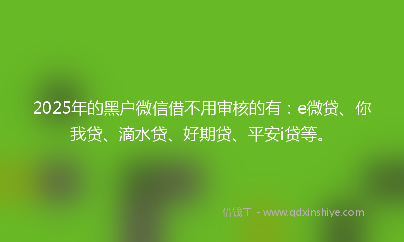 2025年的黑户微信借不用审核的有：e微贷、你我贷、滴水贷、好期贷、平安i贷等。