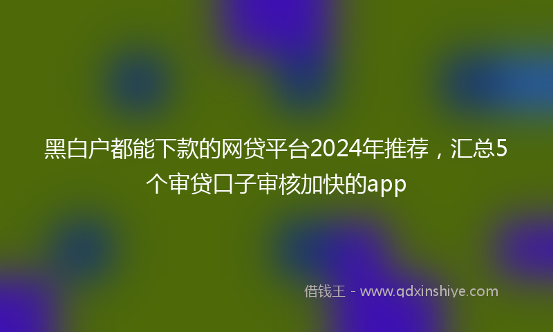 黑白户都能下款的网贷平台2024年推荐，汇总5个审贷口子审核加快的app