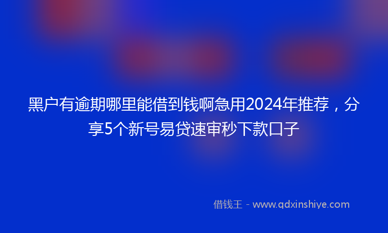 黑户有逾期哪里能借到钱啊急用2024年推荐，分享5个新号易贷速审秒下款口子
