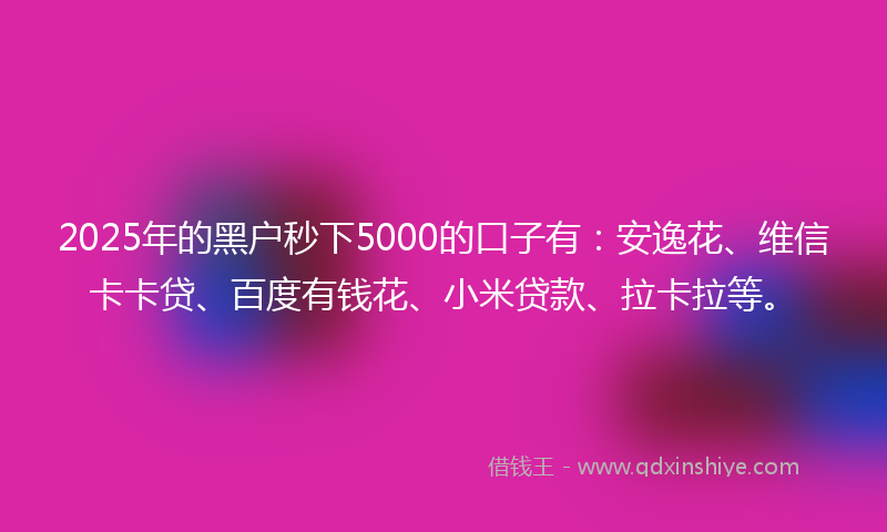 2025年的黑户秒下5000的口子有：安逸花、维信卡卡贷、百度有钱花、小米贷款、拉卡拉等。