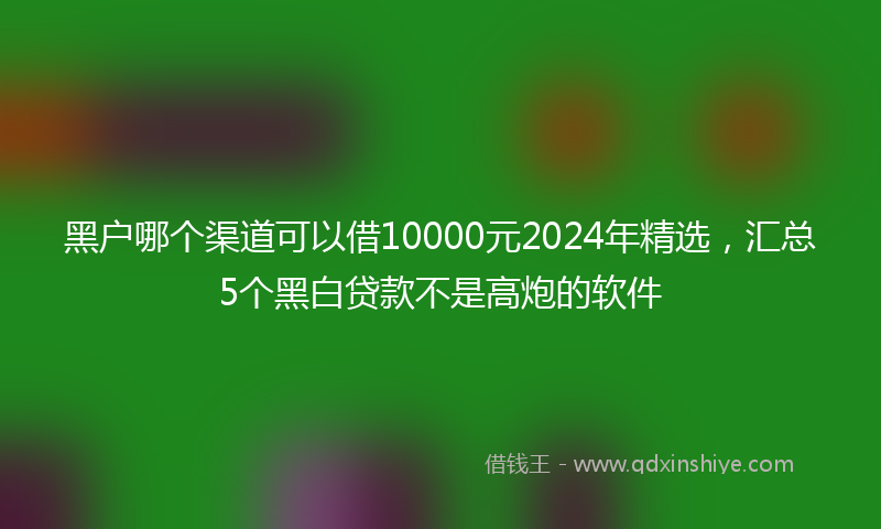 黑户哪个渠道可以借10000元2024年精选，汇总5个黑白贷款不是高炮的软件