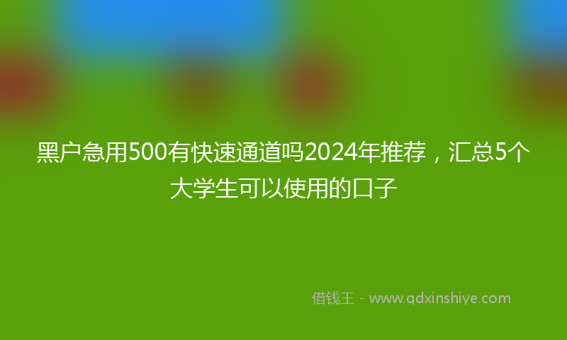 黑户急用500有快速通道吗2024年推荐，汇总5个大学生可以使用的口子