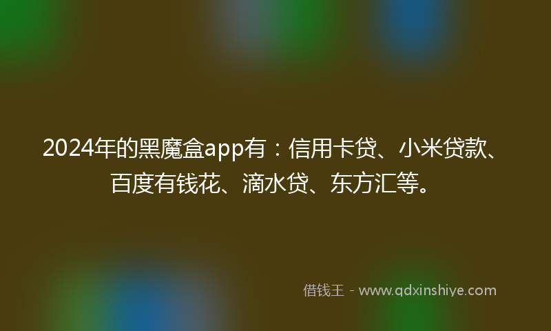 2024年的黑魔盒app有：信用卡贷、小米贷款、百度有钱花、滴水贷、东方汇等。