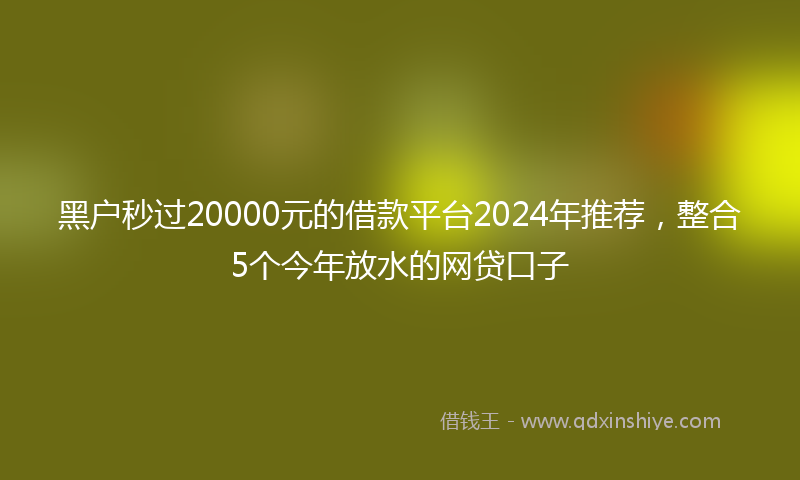 黑户秒过20000元的借款平台2024年推荐，整合5个今年放水的网贷口子