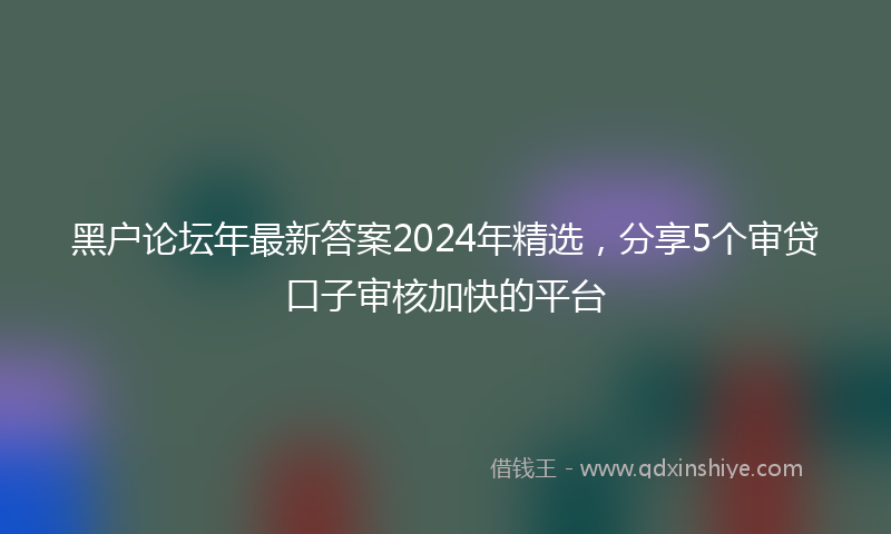 黑户论坛年最新答案2024年精选，分享5个审贷口子审核加快的平台