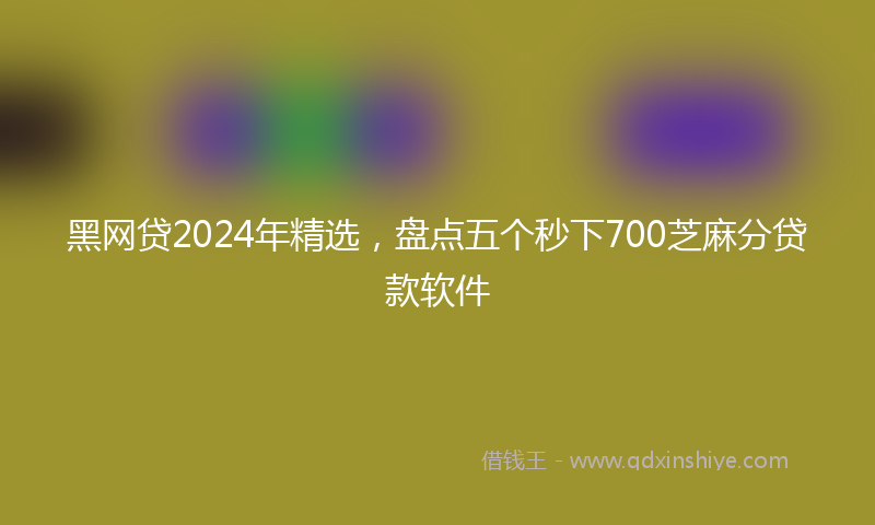 黑网贷2024年精选，盘点五个秒下700芝麻分贷款软件