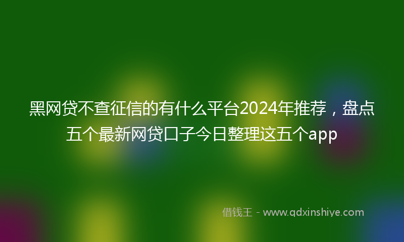 黑网贷不查征信的有什么平台2024年推荐，盘点五个最新网贷口子今日整理这五个app