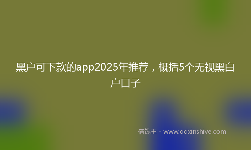 黑户可下款的app2025年推荐，概括5个无视黑白户口子