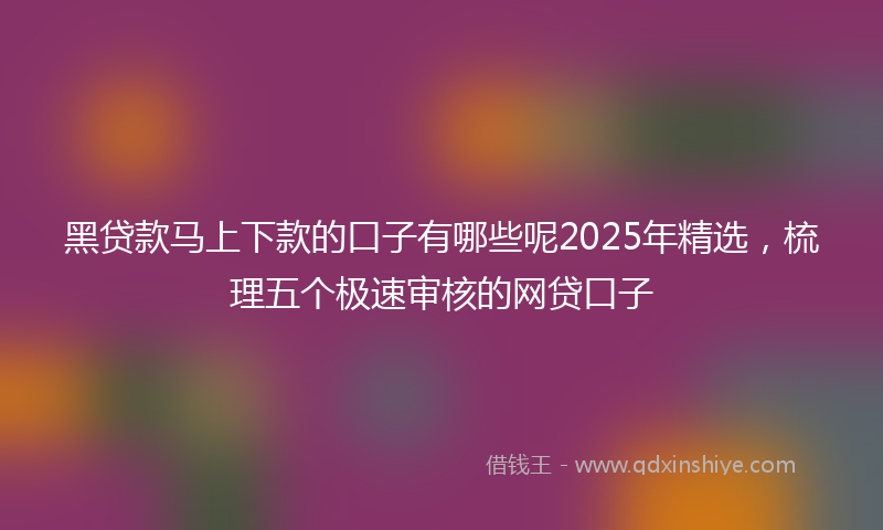 黑贷款马上下款的口子有哪些呢2025年精选，梳理五个极速审核的网贷口子