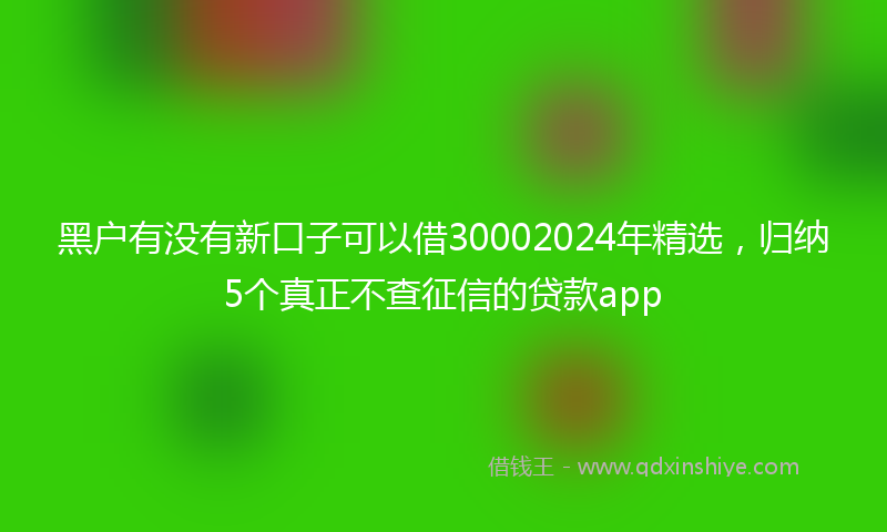 黑户有没有新口子可以借30002024年精选，归纳5个真正不查征信的贷款app
