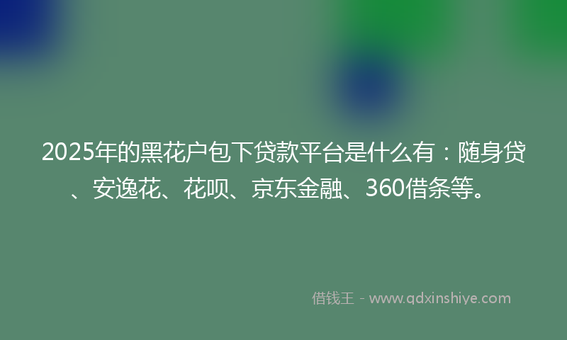 2025年的黑花户包下贷款平台是什么有：随身贷、安逸花、花呗、京东金融、360借条等。