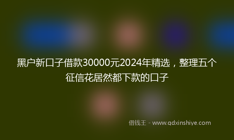 黑户新口子借款30000元2024年精选，整理五个征信花居然都下款的口子