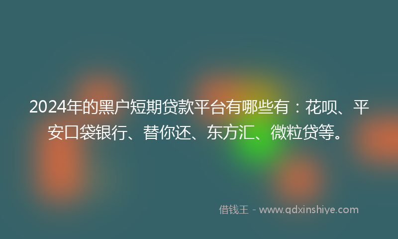 2024年的黑户短期贷款平台有哪些有：花呗、平安口袋银行、替你还、东方汇、微粒贷等。