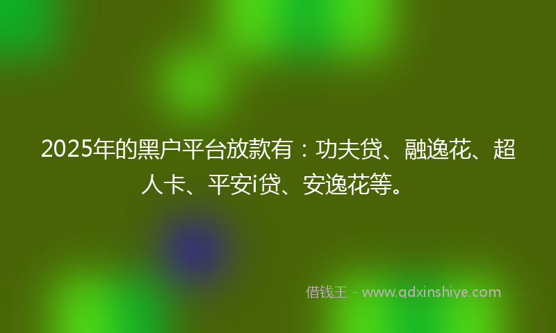 2025年的黑户平台放款有：功夫贷、融逸花、超人卡、平安i贷、安逸花等。