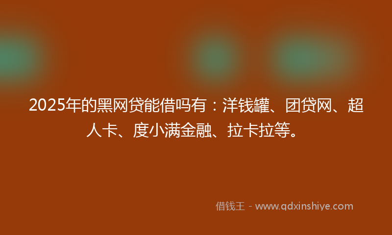 2025年的黑网贷能借吗有：洋钱罐、团贷网、超人卡、度小满金融、拉卡拉等。