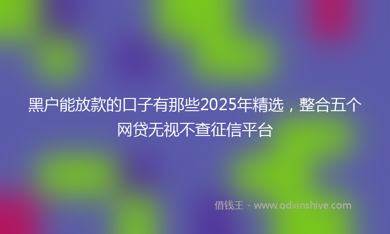 黑户能放款的口子有那些2025年精选，整合五个网贷无视不查征信平台