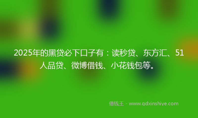 2025年的黑贷必下口子有：读秒贷、东方汇、51人品贷、微博借钱、小花钱包等。
