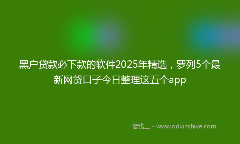 黑户贷款必下款的软件2025年精选，罗列5个最新网贷口子今日整理这五个app