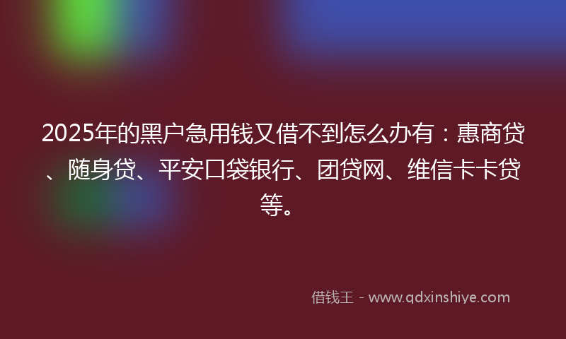 2025年的黑户急用钱又借不到怎么办有：惠商贷、随身贷、平安口袋银行、团贷网、维信卡卡贷等。