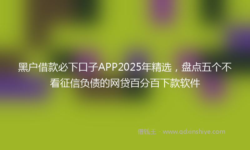 黑户借款必下口子APP2025年精选，盘点五个不看征信负债的网贷百分百下款软件