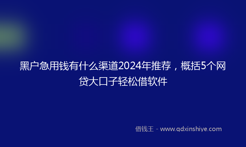 黑户急用钱有什么渠道2024年推荐，概括5个网贷大口子轻松借软件