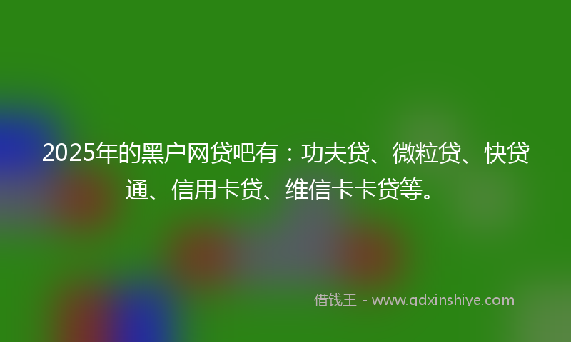 2025年的黑户网贷吧有：功夫贷、微粒贷、快贷通、信用卡贷、维信卡卡贷等。