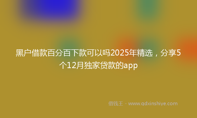 黑户借款百分百下款可以吗2025年精选，分享5个12月独家贷款的app