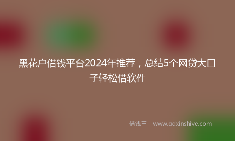 黑花户借钱平台2024年推荐，总结5个网贷大口子轻松借软件