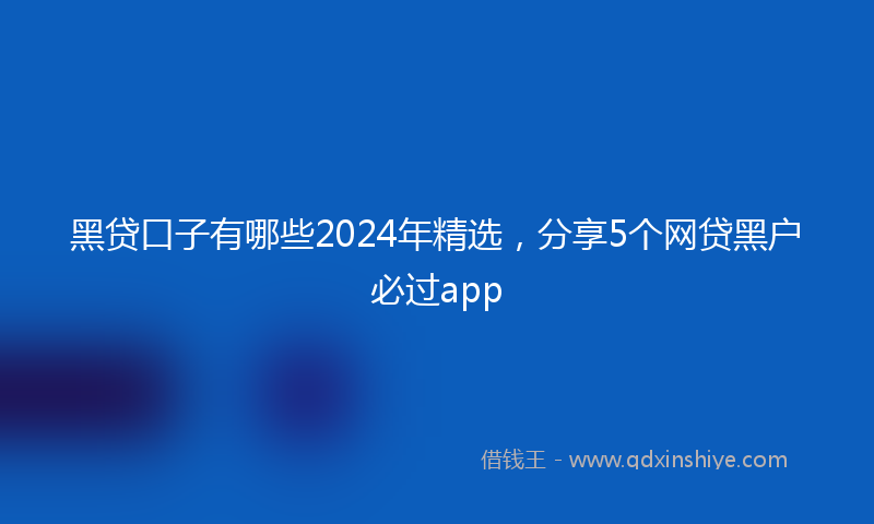 黑贷口子有哪些2024年精选，分享5个网贷黑户必过app