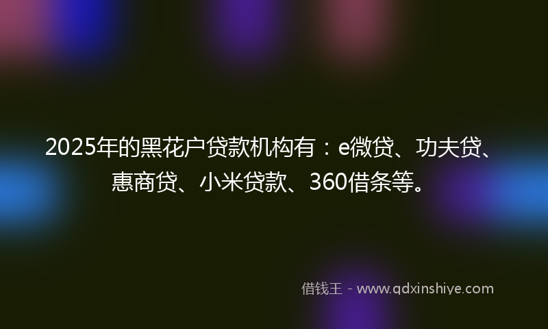 2025年的黑花户贷款机构有：e微贷、功夫贷、惠商贷、小米贷款、360借条等。