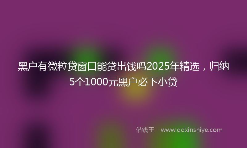 黑户有微粒贷窗口能贷出钱吗2025年精选，归纳5个1000元黑户必下小贷